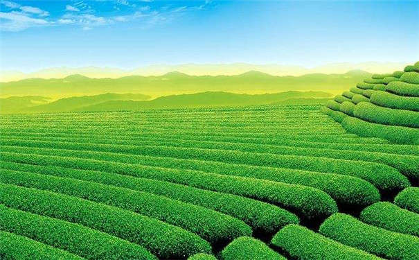 智能土壤墒情监测系统